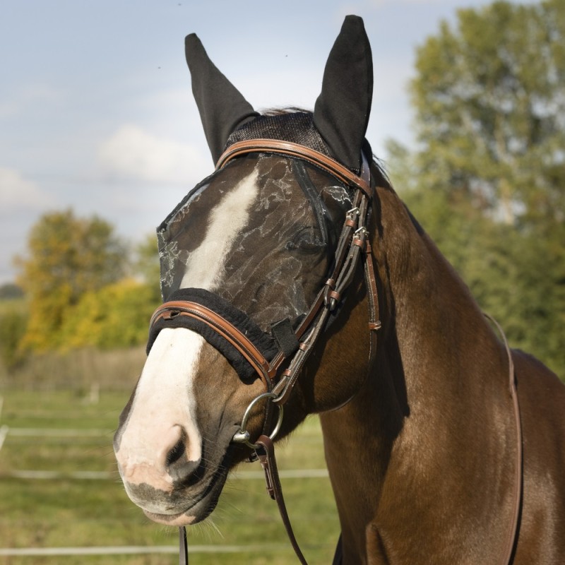 Equithème Training Antifliegenmaske