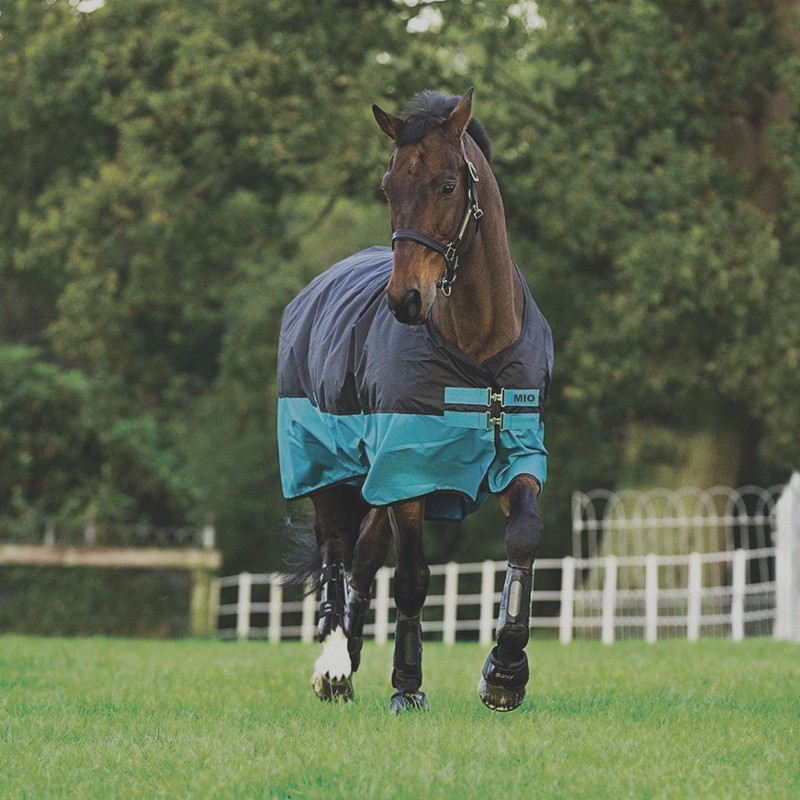 Horseware Mio Turnout medium 200g - Black with Turquoise& Black