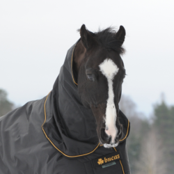 Bucas Irish Turnout Combi Neck 300g - black/gold - Halsteil