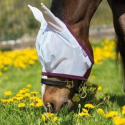 Horseware Amigo Fine Mesh...