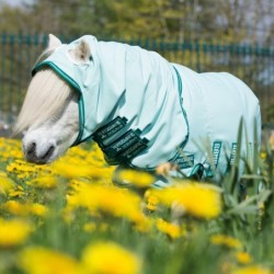 Horseware Rambo Petite Hoody - Ice-Green/Green