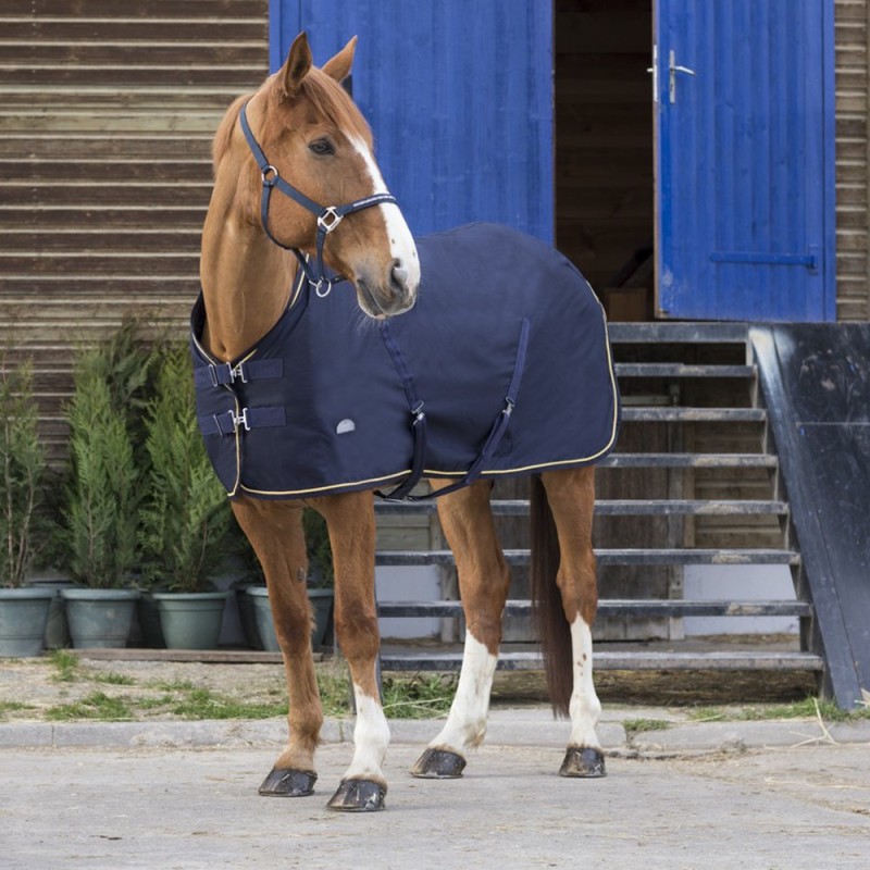 Equithème Chic Decke - marineblau/goldfarben