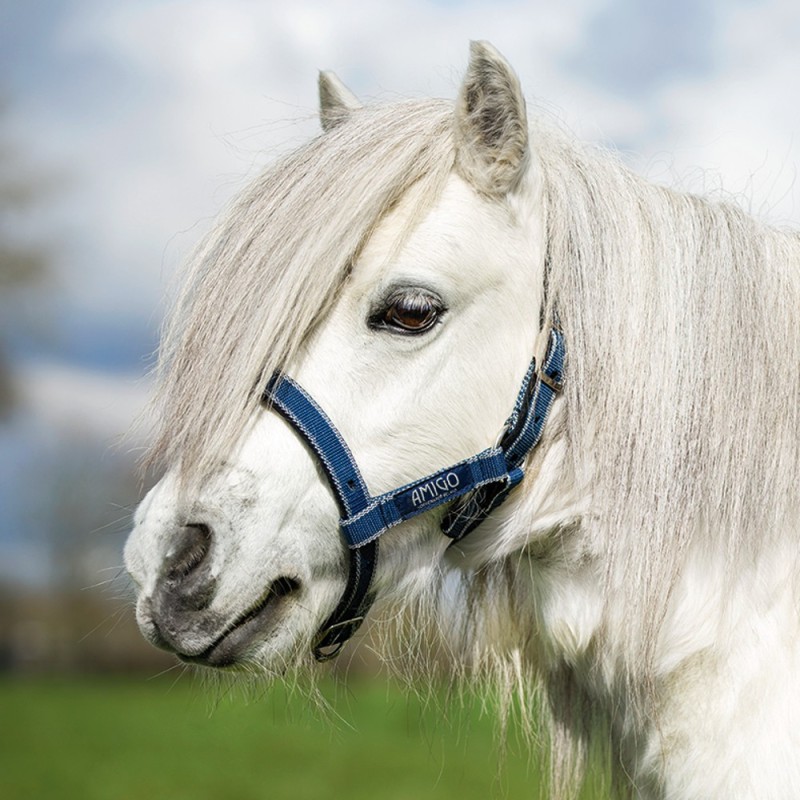 Horseware Amigo Petite Headcollar - Navy/Silver - Halfter