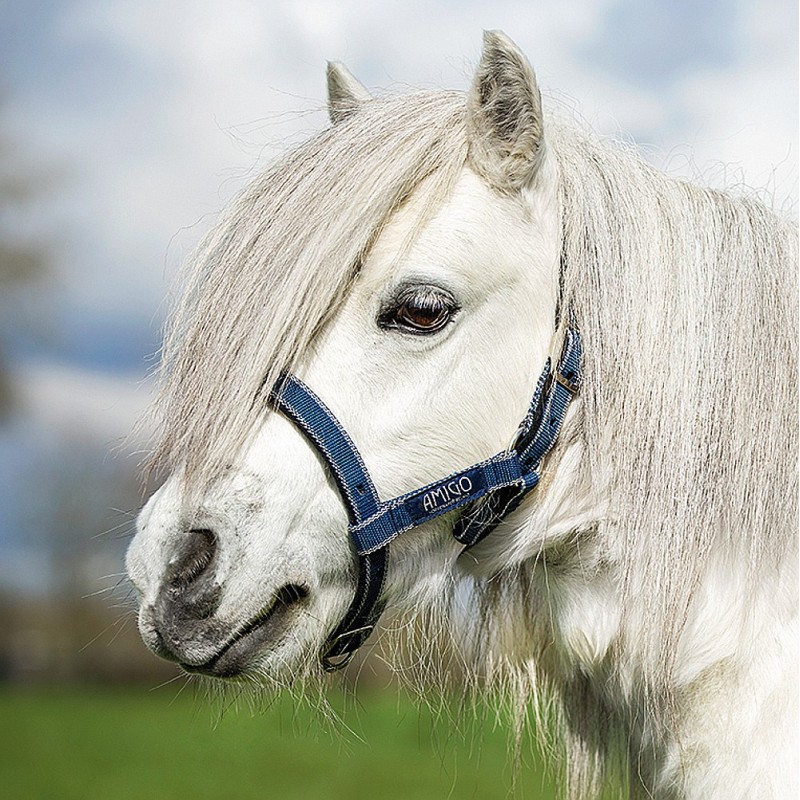 Horseware Amigo Headcollar - Navy/Silver