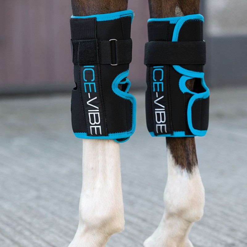 Horseware Ice-Vibe LED für das Vorderfußwurzelgelenk / Knee Wrap