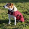 Kentucky Dogwear Hundedecke Dog coat 160g - Bordeaux