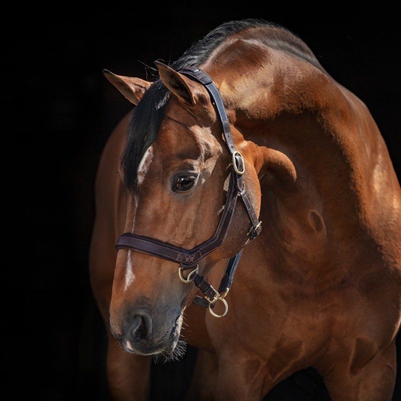 Horseware Rambo Micklem Headcollar - Brown