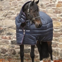 Horseware Amigo Insulator...