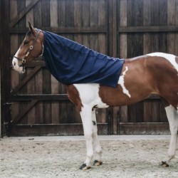 Kentucky Horsewear Cooler...