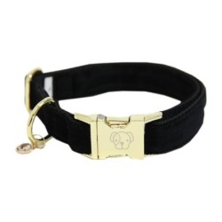 Kentucky Dogwear Halsband...