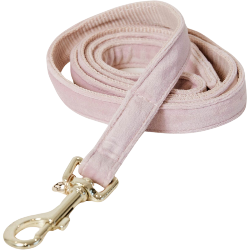 Kentucky Dogwear Hundeleine "Velvet" 120 cm - soft rose