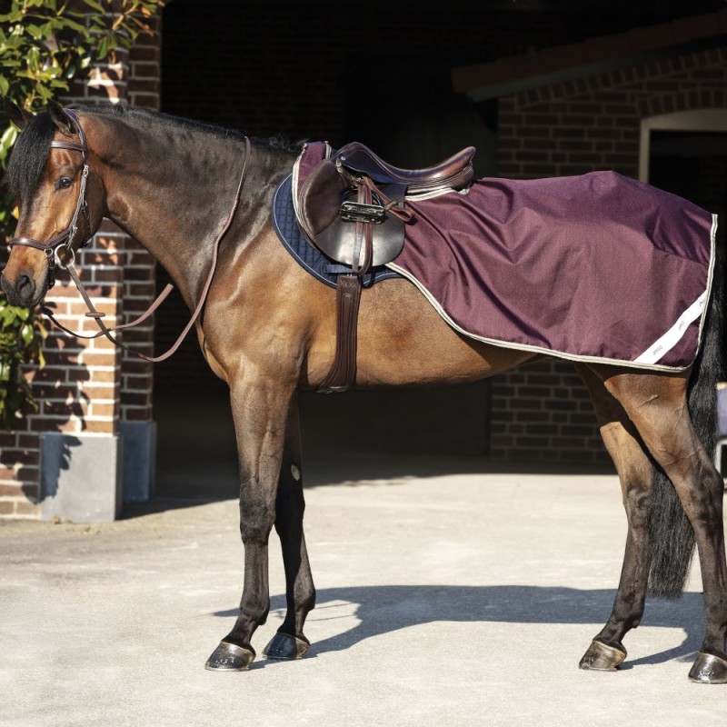 Horseware Amigo Ripstop Competition Sheet - Fig/Navy