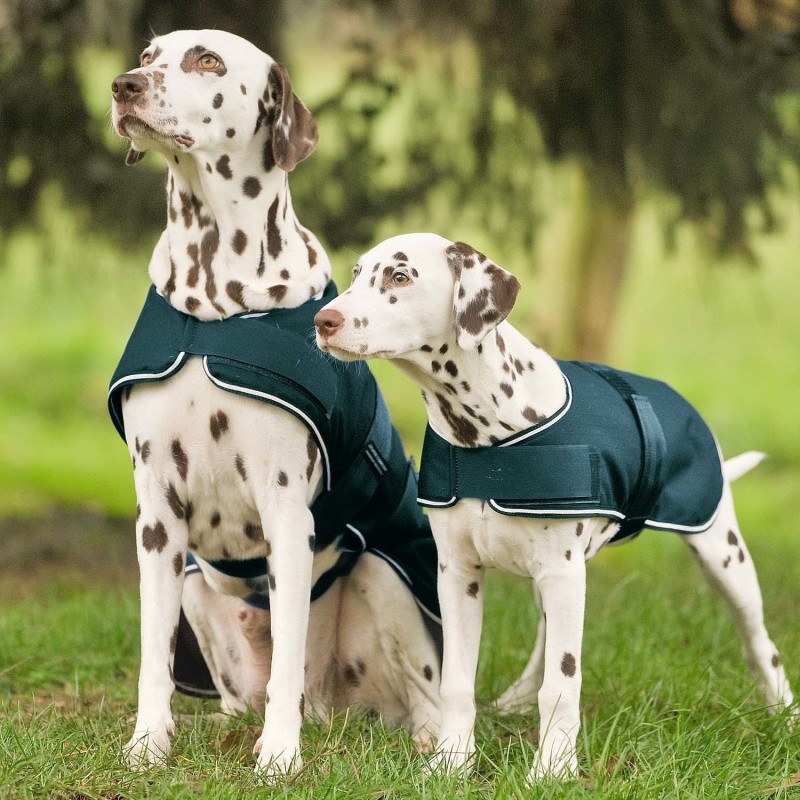 Waldhausen Hunde Regendecke