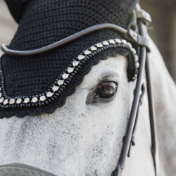 Kentucky Fliegenhaube...