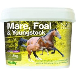 NAF Mare, Foal & Youngstock...