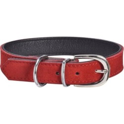 Bobby Halsband Aspen Rot -...