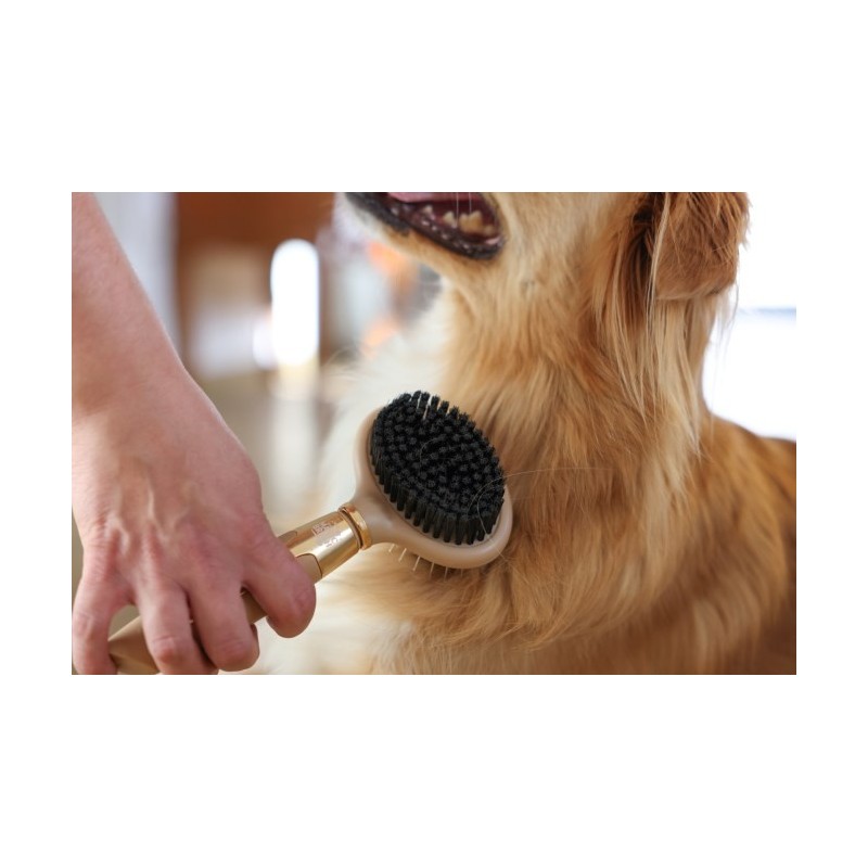 Kerbl MagicBrush Doppelbürste für den Hund