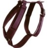 Kentucky Dogwear Hundegeschirr "Velvet" bordeaux - L (38-58 cm)