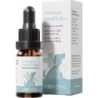 CBD Hanföl für Hunde - 10 ml