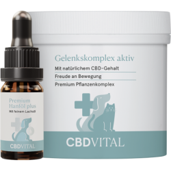 CBD VET Gelenks-Box Premium...