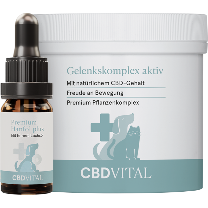 CBD VET Gelenks-Box Premium für Hunde - 1 Box