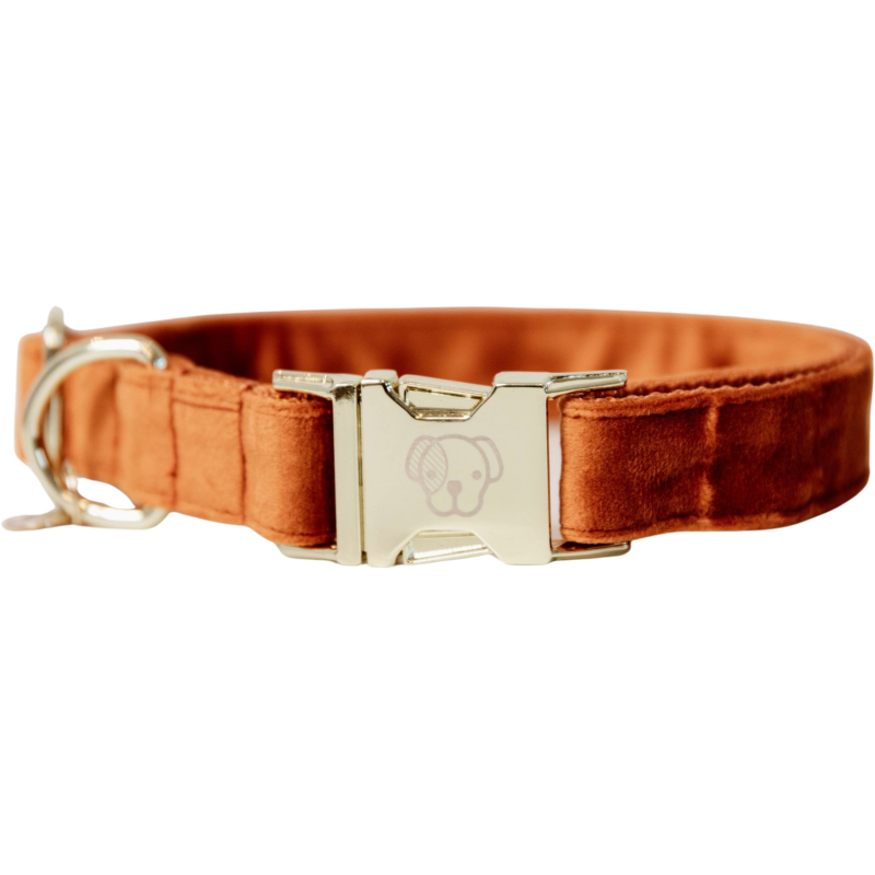 Kentucky Dogwear Hundehalsband "Velvet" orange - XS (25-38) cm