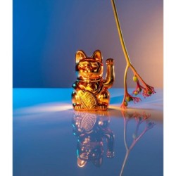 Lucky Cat Cosmic Edition:...