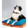 JAM Dog Cushion Sunshine/Blue Ocean / S