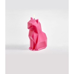 PyroPet Kisa Candle Neon...