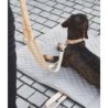 MiaCara Bergamo Long Braided Dog Lead Natural