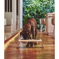 MiaCara Desco Dog Feeder...