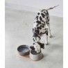 MiaCara Doppio Water & Food Bowl Concrete / ML