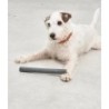 MiaCara Ramo Fetch Toy Slate