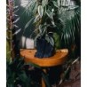 Urban Jungle Panther Plant Pot