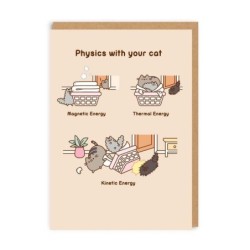 Physics With Your Cat...