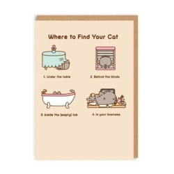 Where To Find Your Cat...