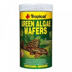 Tropical Green Algae...