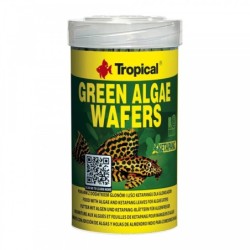 Tropical Green Algae...