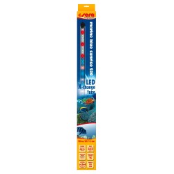 sera LED X-Change Tube marine blue sunrise, 520 mm / 13 W