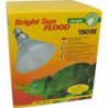 Lucky Reptile Bright Sun FLOOD Jungle, 150 W