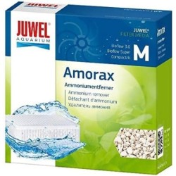 Juwel Amorax...