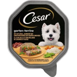 Cesar Gartenvielfalt mit...