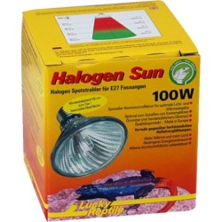 Lucky Reptile Halogen Sun,...