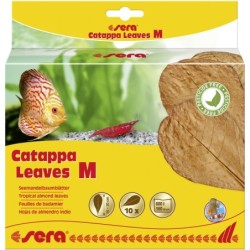 sera Catappa Leaves, M, 16...