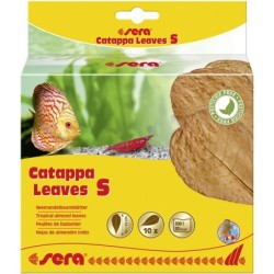 sera Catappa Leaves, S, 10...