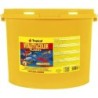 Tropical Vitality Color, 21 l