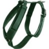 Kentucky Dogwear Hundegeschirr velvet pine green - XL (48-70) cm