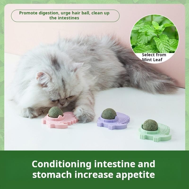 Natural Kitty Toys For Cats Lick Licking Snacks Catnip Ball Healthy Teeth Cleaning 1Pcs Safe Cat Chew Toys Rotatable Pet Supp