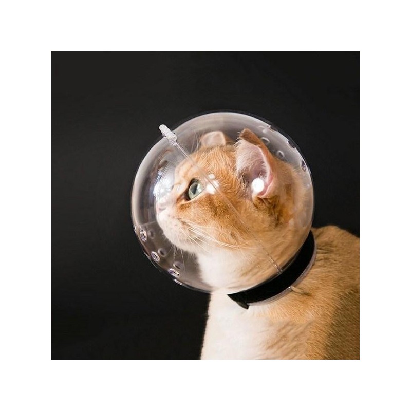 Gatonine Katzen-Spacehelm-Maulkorb, L, 1 Stück