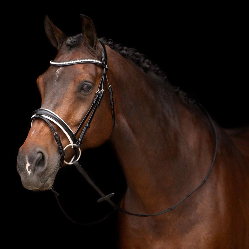 Zaumzeug Reiten HV Polo Legacy deluxe